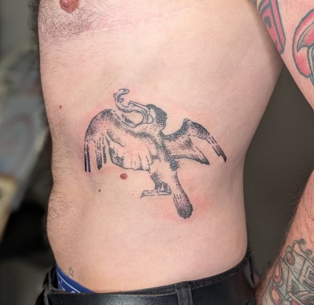 A tattoo on the ribs in black with dotwork shading. The design is of a cormorant standing on a diagonal, its back to the viewer. It’s wings are spread with some flight feathers missing and you can see that it holds a writhing eel in its beak.